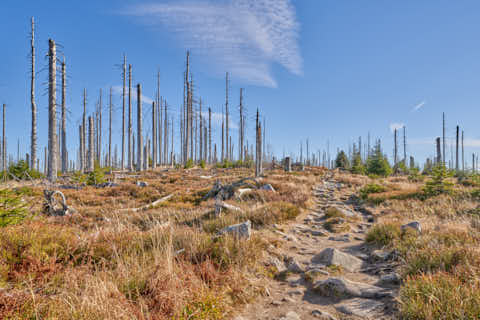 Gemeinde Neureichenau Landkreis Freyung-Grafenau Plöckenstein (Dirschl Johann) Deutschland FRG